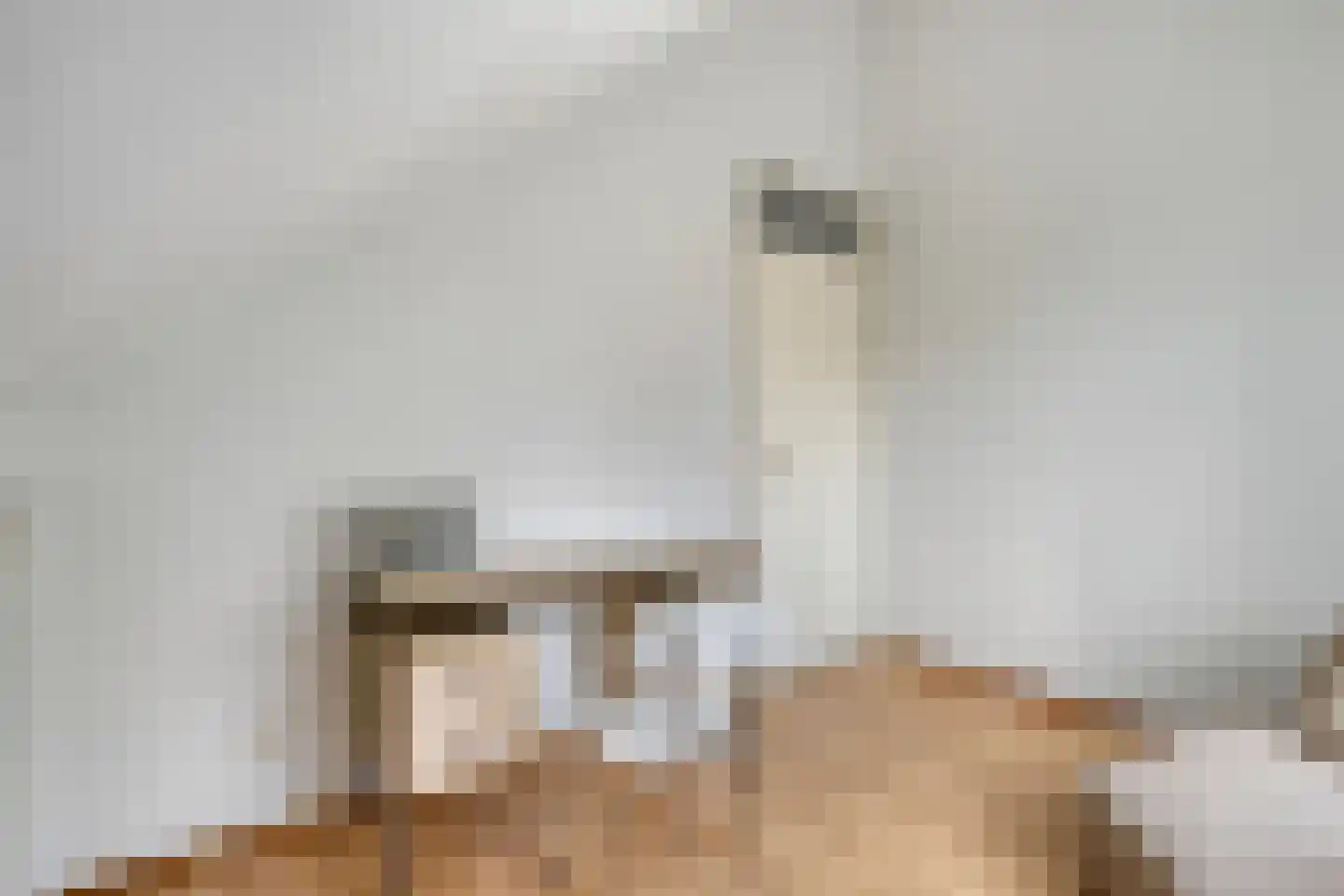 Anna van Asseldonkhof 14 's-Hertogenbosch thumbnail 38