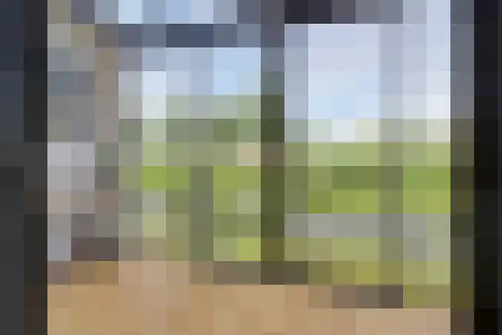 Anna van Bossetuin 14 Heerhugowaard thumbnail 17