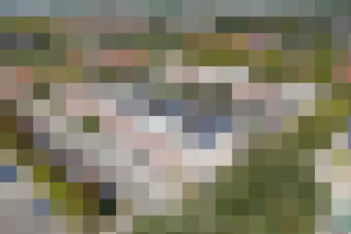 Anna van Bossetuin 21 Heerhugowaard thumbnail 33