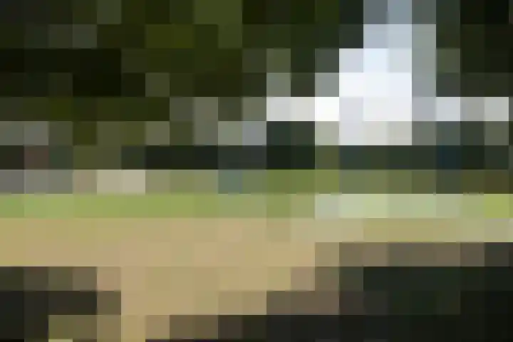 Anna van Bossetuin 21 Heerhugowaard thumbnail 39