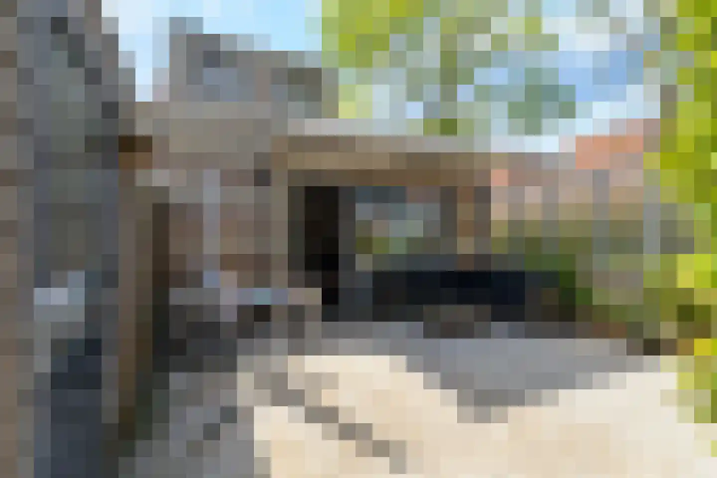Anna van Bossetuin 3 Heerhugowaard thumbnail 21