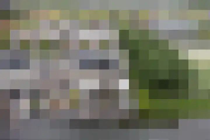 Anna van Bossetuin 40 Heerhugowaard thumbnail 28