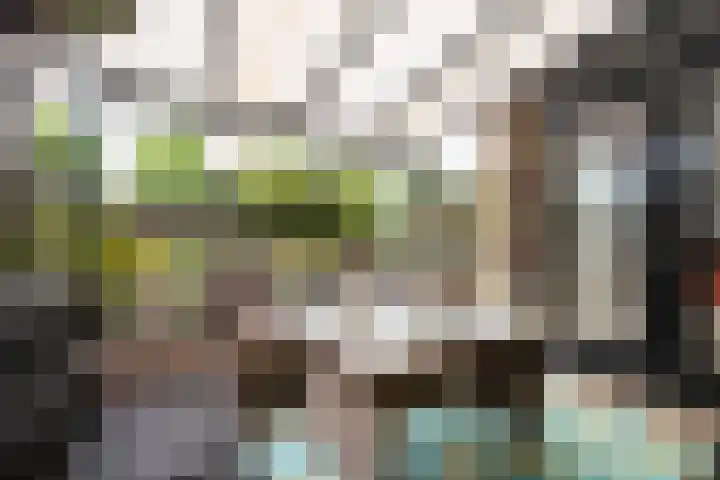 Anna van Bossetuin 40 Heerhugowaard thumbnail 31