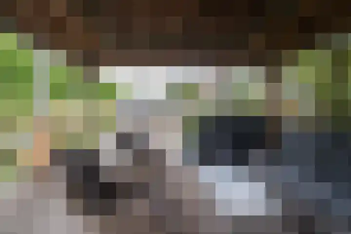 Anna van Bossetuin 40 Heerhugowaard thumbnail 34