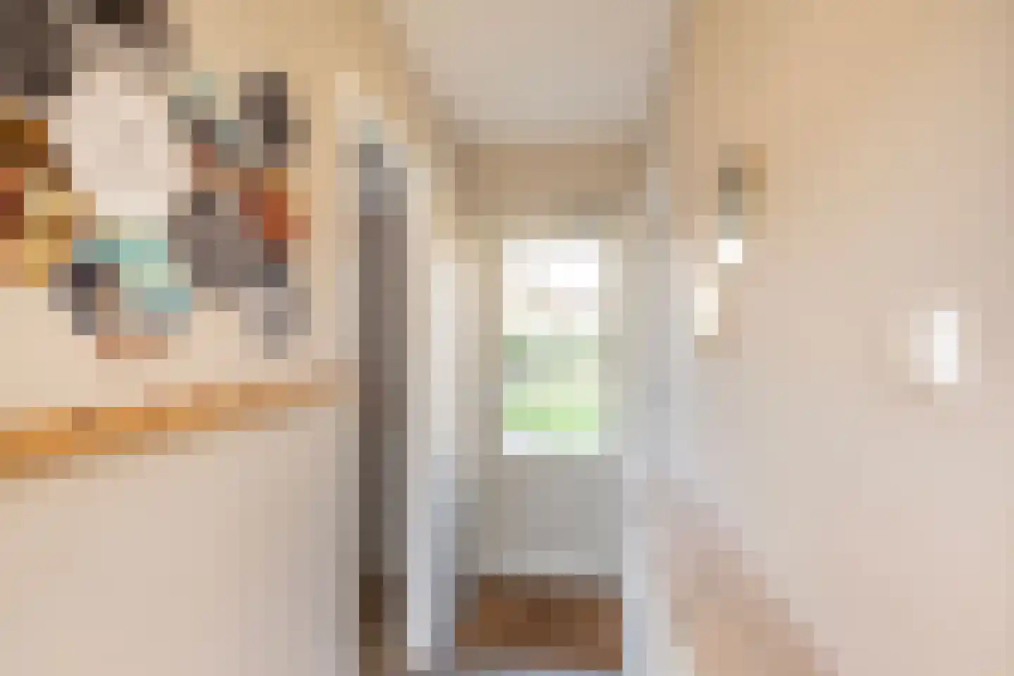 Anna van Bourgondiëstraat 14 Sint-Annaland thumbnail 20