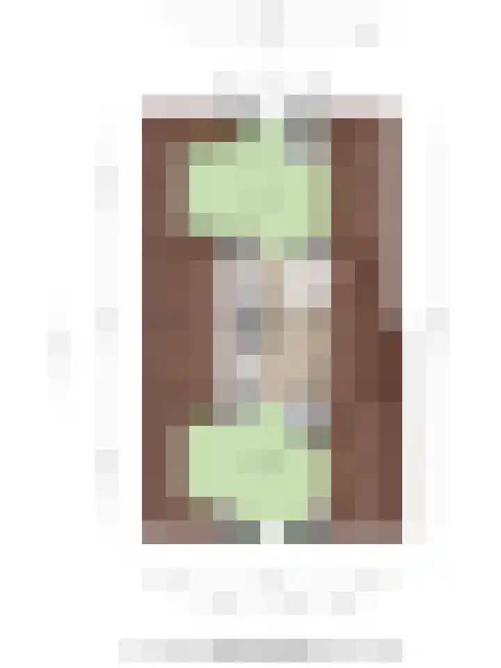 Anna van Bourgondiëstraat 34 Sint-Annaland thumbnail 59