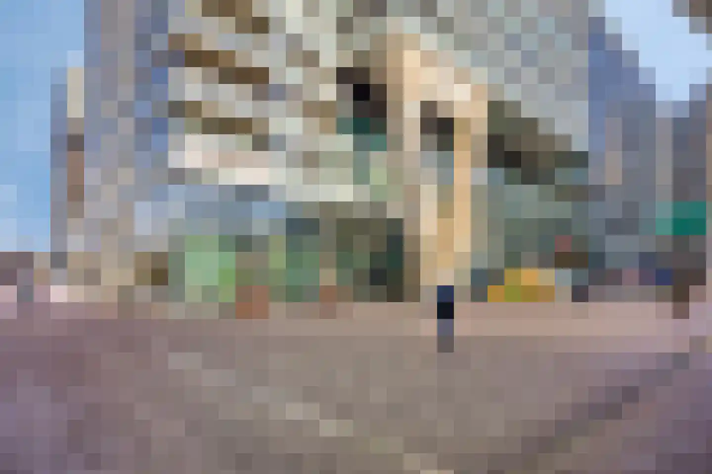 Anna van Buerenplein 170 Den Haag thumbnail 43