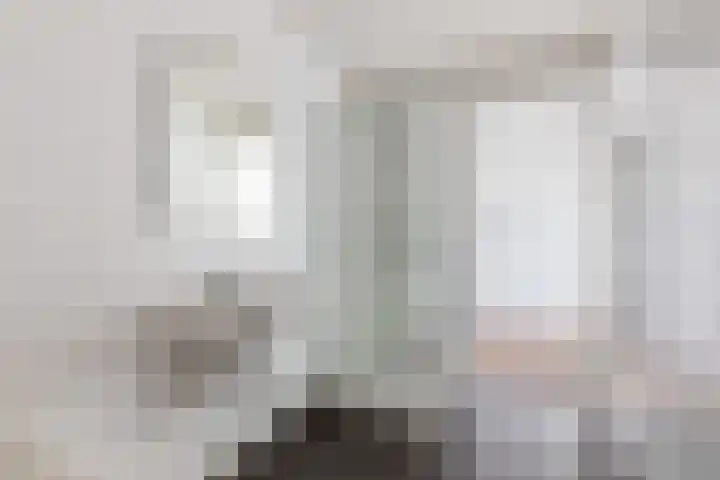 Anna van Buerenplein 187 Den Haag thumbnail 32