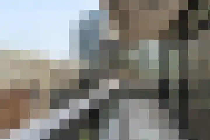 Anna van Buerenplein 97 Den Haag thumbnail 17