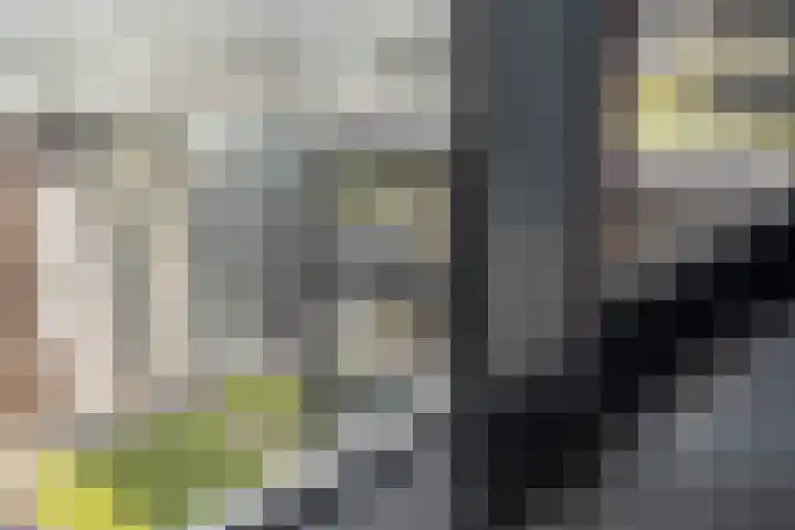 Anna van Buerenplein 97 Den Haag thumbnail 19