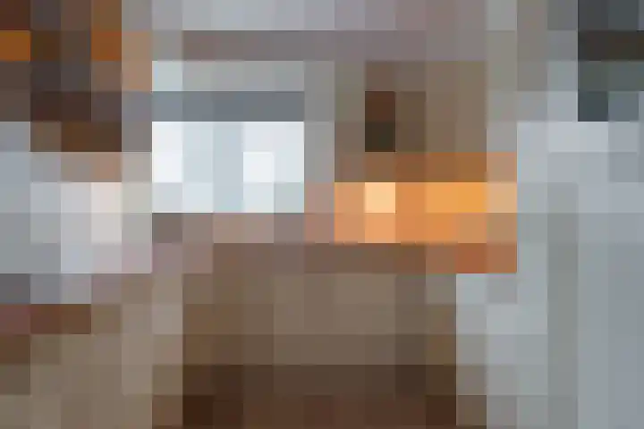 Anna van Burendreef 47 Utrecht thumbnail 15