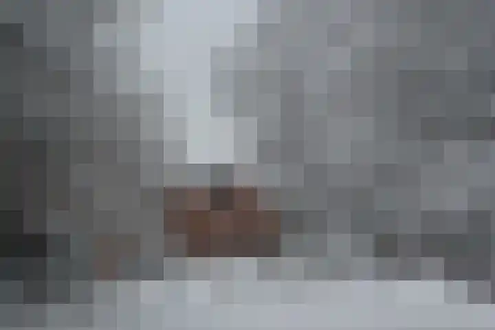 Anna van Burendreef 47 Utrecht thumbnail 36