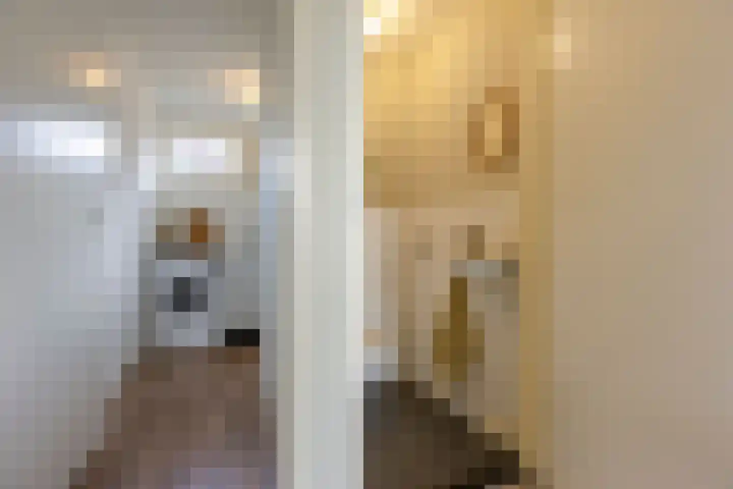Anna van Burendreef 68 Utrecht thumbnail 25