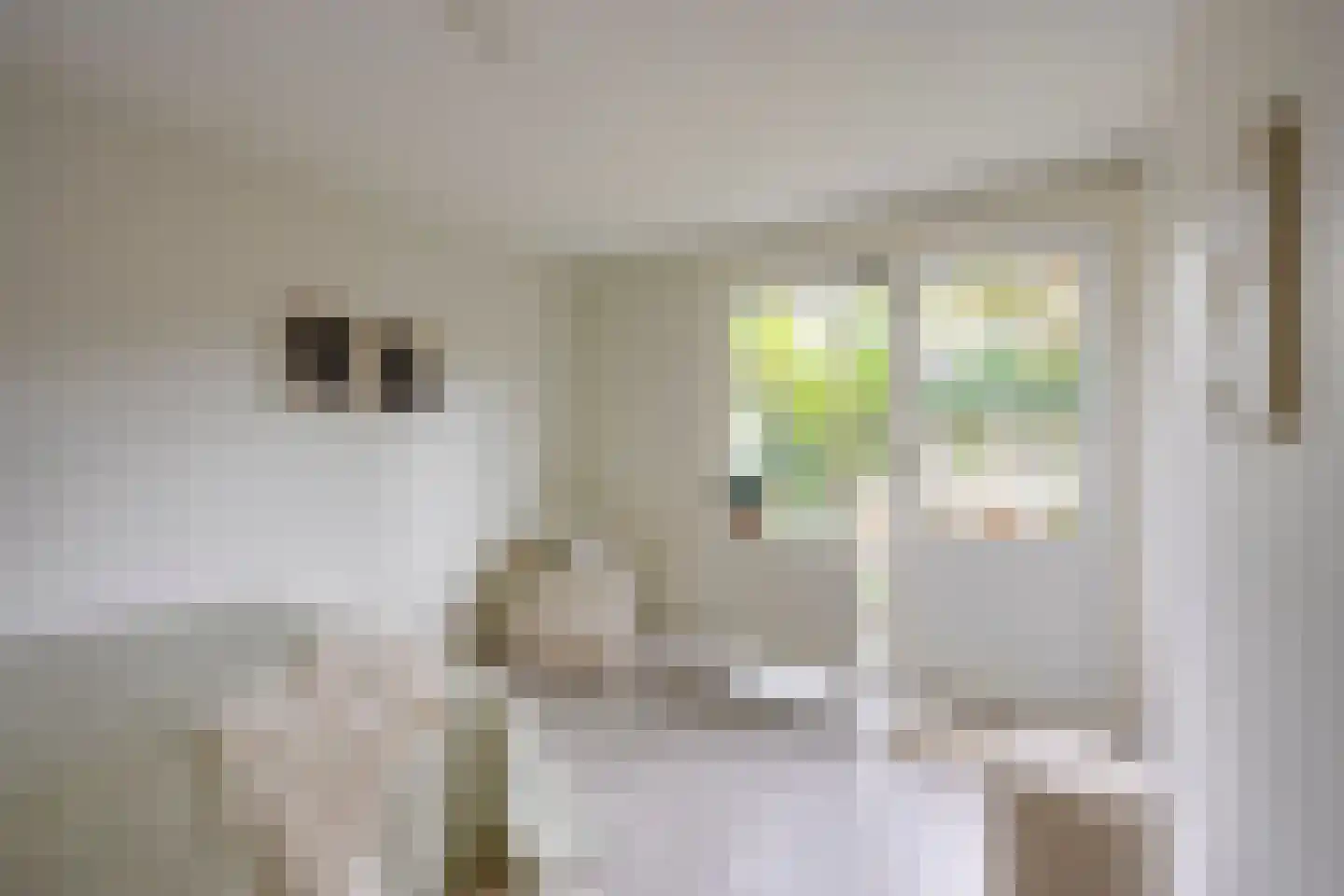 Anna van Burendreef 68 Utrecht thumbnail 28