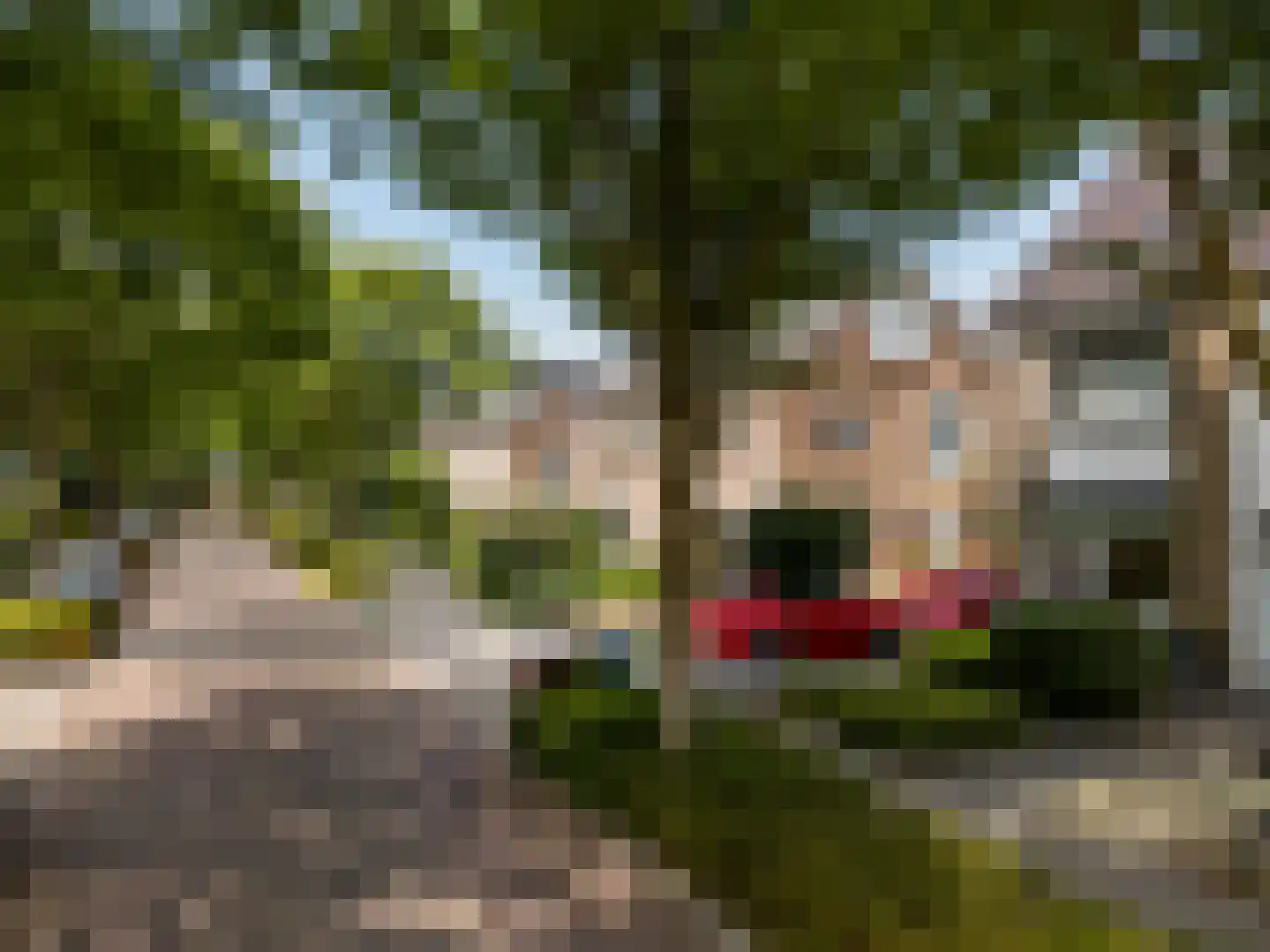 Anna van Burenlaan 10 Alphen aan den Rijn thumbnail 29
