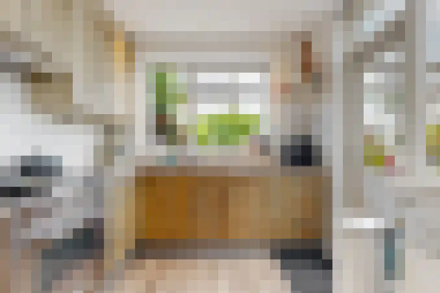 Anna van Burenlaan 10 Alphen aan den Rijn thumbnail 9