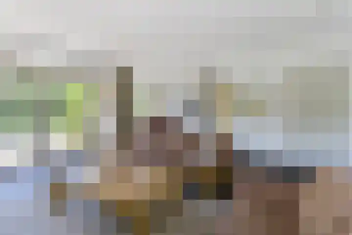 Anna van Burenlaan 12 Naarden thumbnail 11