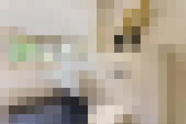 Anna van Burenlaan 12 Naarden thumbnail 23