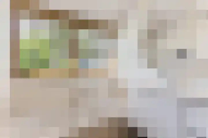 Anna van Burenlaan 12 Naarden thumbnail 24