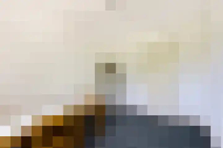 Anna van Burenlaan 12 Naarden thumbnail 29