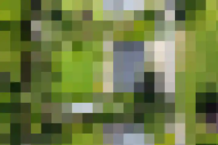 Anna van Burenlaan 12 Naarden thumbnail 4