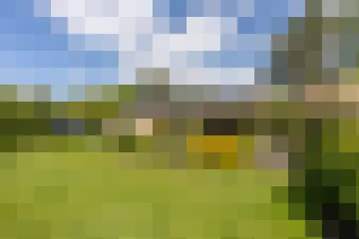 Anna van Burenlaan 12 Naarden thumbnail 40