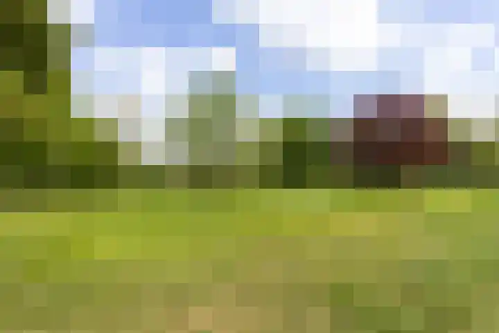 Anna van Burenlaan 12 Naarden thumbnail 49
