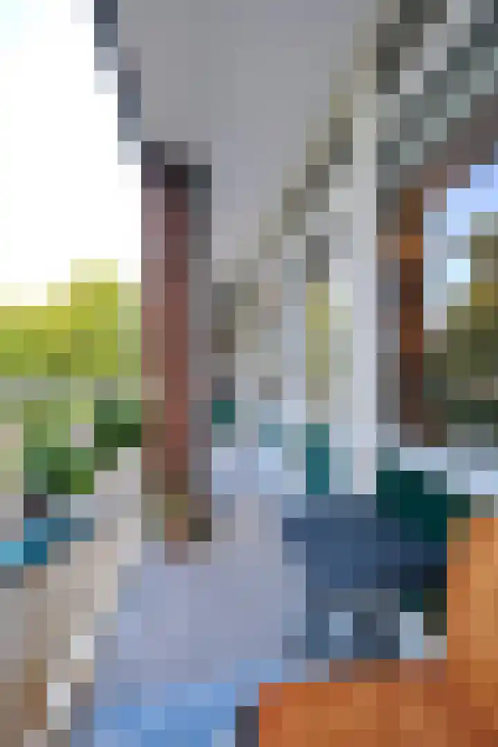Anna van Burenlaan 202 Ede thumbnail 19