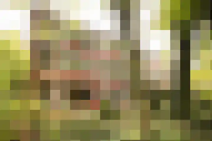 Anna van Burenlaan 38 Ede thumbnail 30
