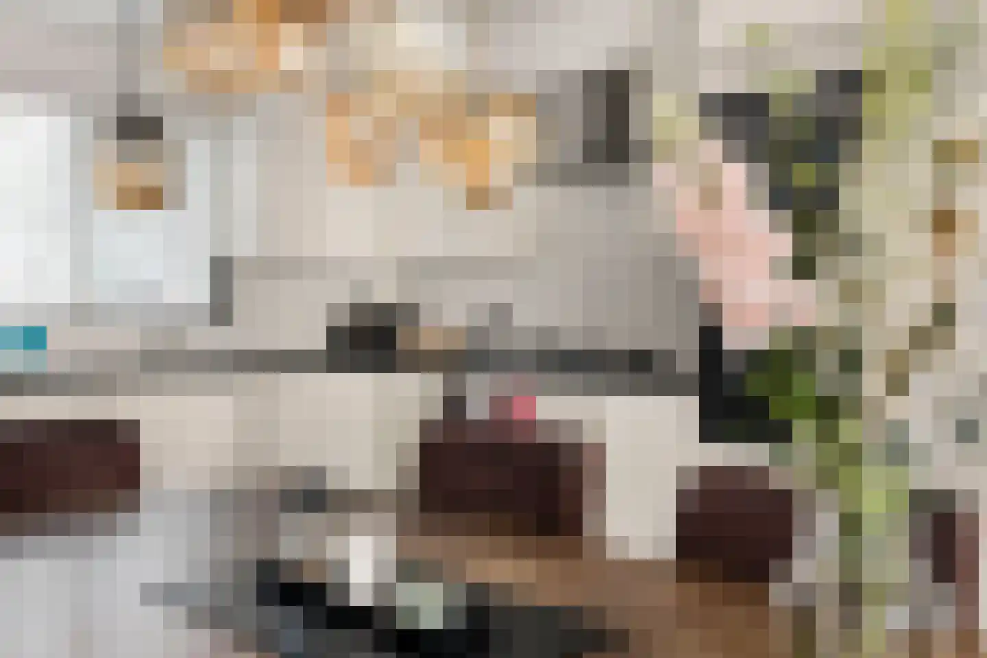 Anna van Burenlaan 44 Egmond aan den Hoef thumbnail 13