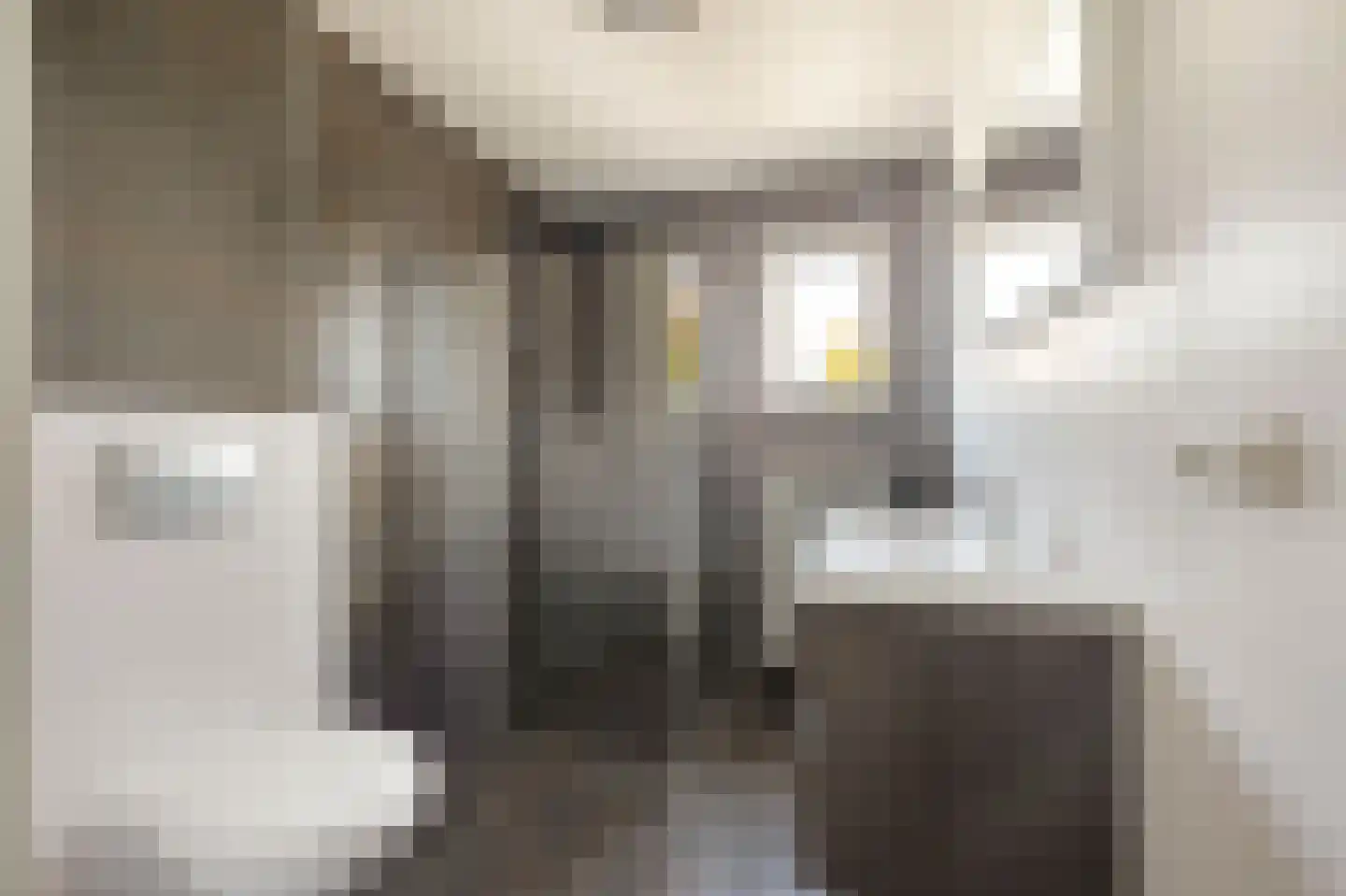 Anna van Burenlaan 44 Egmond aan den Hoef thumbnail 33