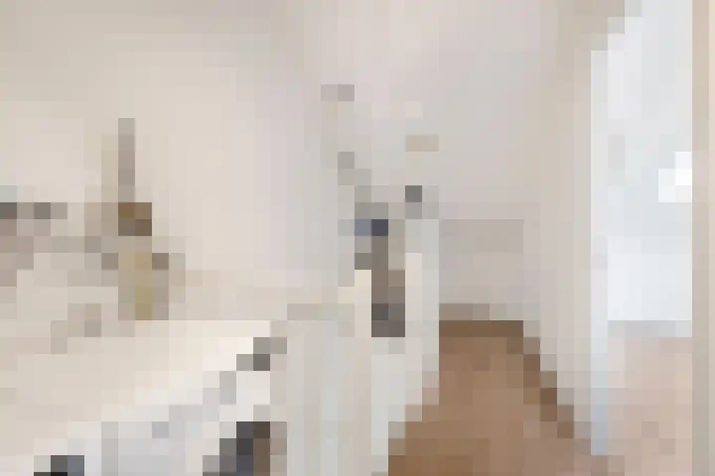 Anna van Burenlaan 44 Egmond aan den Hoef thumbnail 37