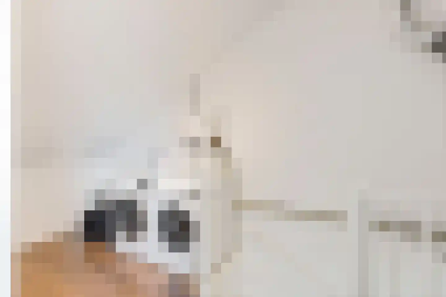 Anna van Burenlaan 44 Egmond aan den Hoef thumbnail 38