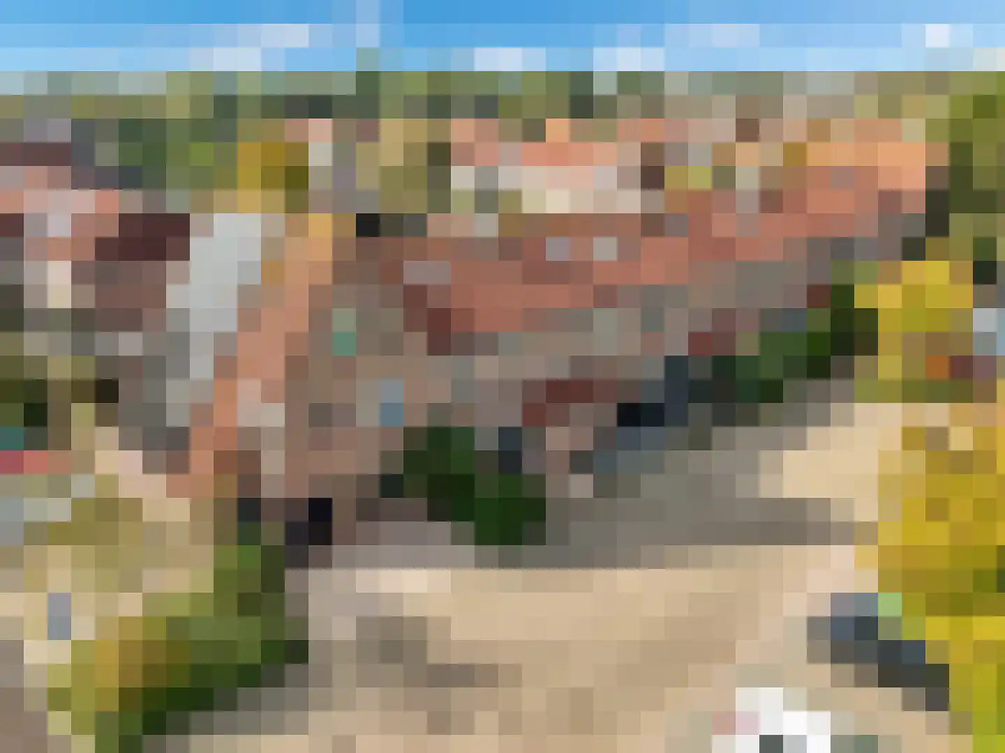 Anna van Burenlaan 44 Egmond aan den Hoef thumbnail 51