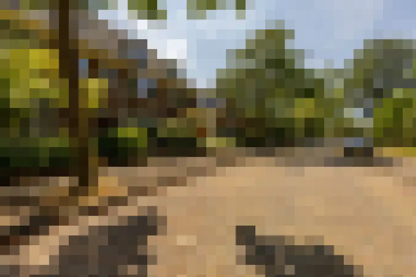 Anna van Burenlaan 50 Haarlem thumbnail 35