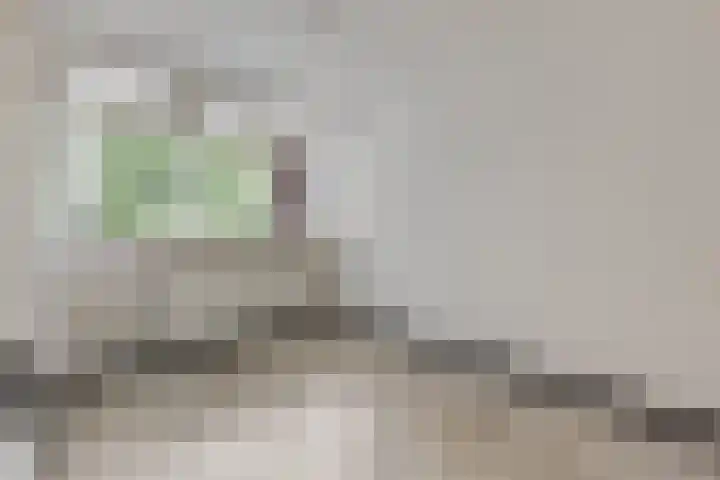 Anna van Burenlaan 60 Ede thumbnail 10