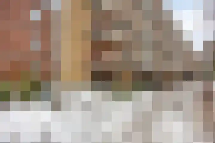 Anna van Burenlaan 74 Ede thumbnail 26