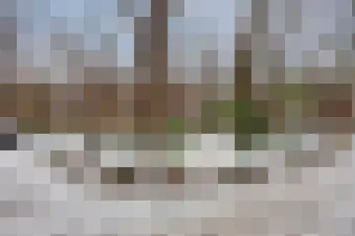 Anna van Burenlaan 74 Ede thumbnail 30