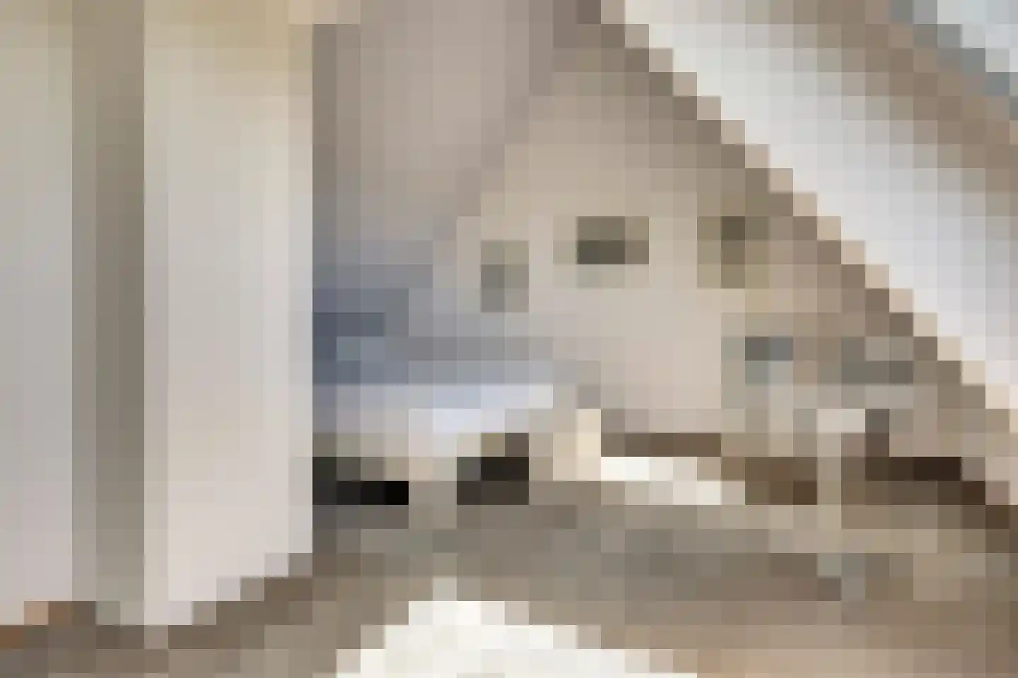 Anna van Burenlaan 76 Egmond aan den Hoef thumbnail 17