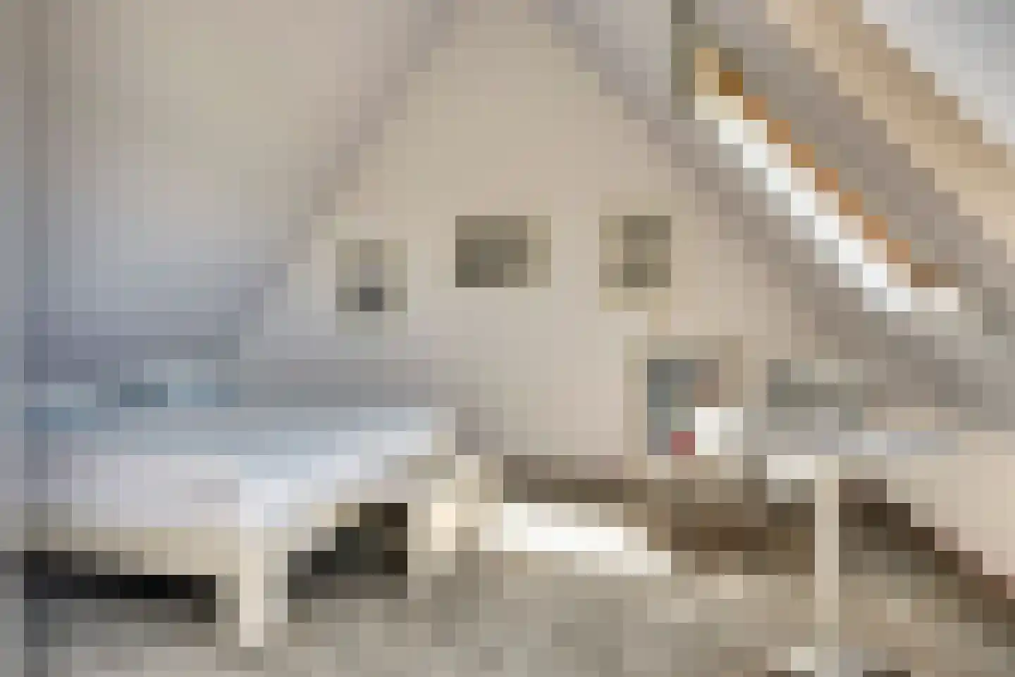Anna van Burenlaan 76 Egmond aan den Hoef thumbnail 18