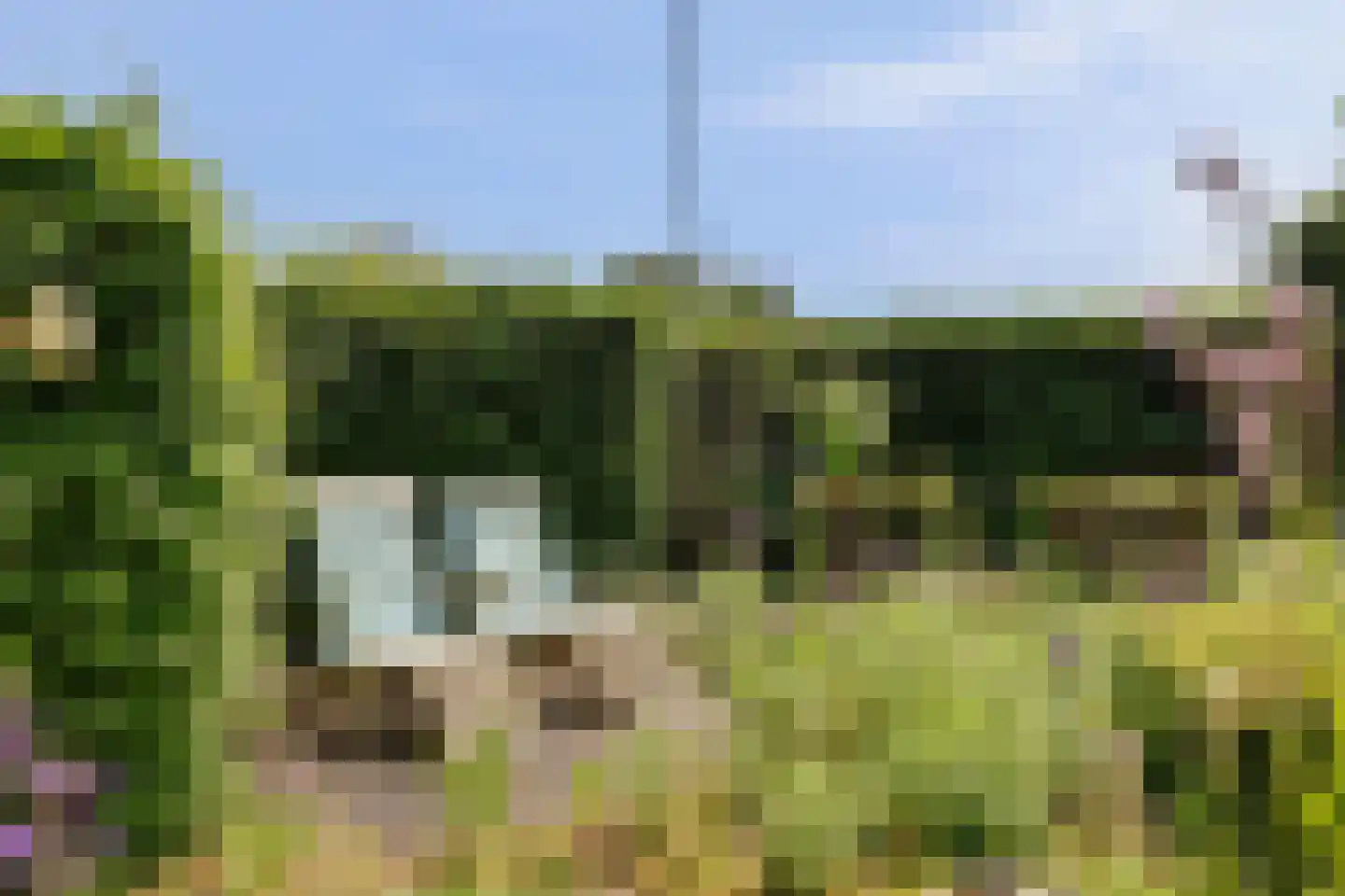 Anna van Burenlaan 76 Egmond aan den Hoef thumbnail 33