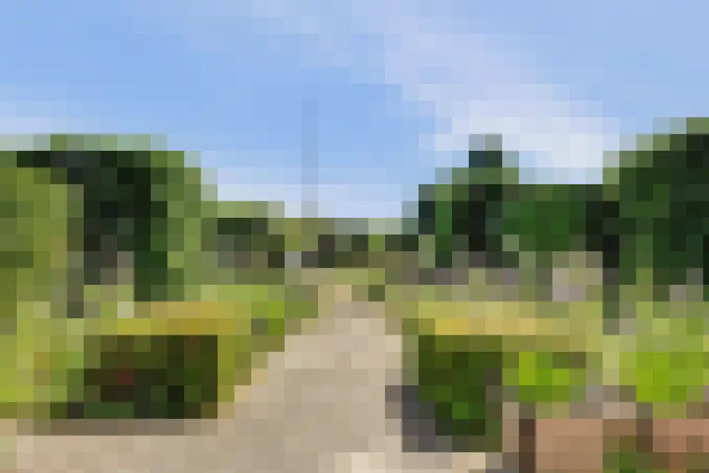 Anna van Burenlaan 76 Egmond aan den Hoef thumbnail 4