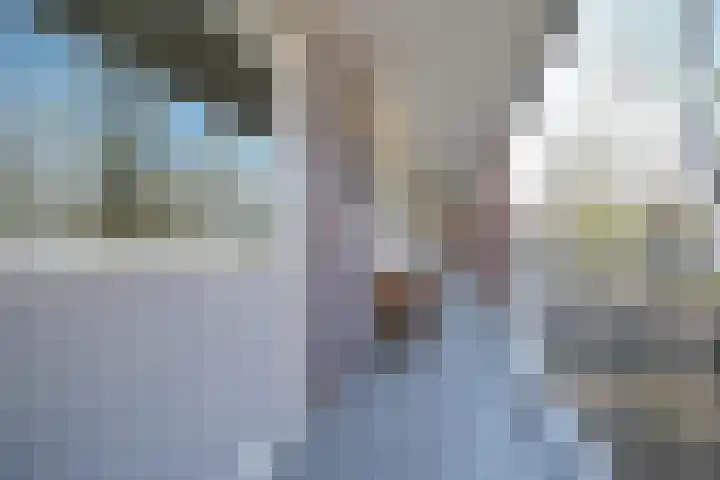 Anna van Burenlaan 84 Ede thumbnail 25