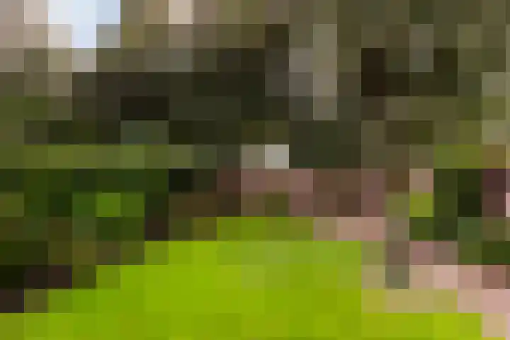 Anna van Burenplein 2 Bathmen thumbnail 21