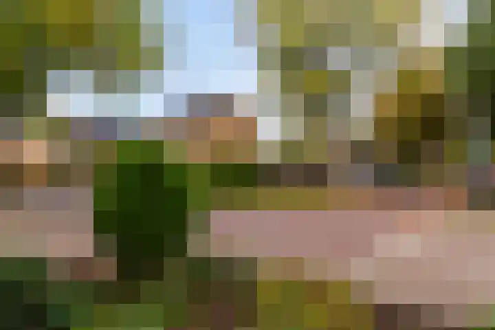 Anna van Burenplein 2 Bathmen thumbnail 24