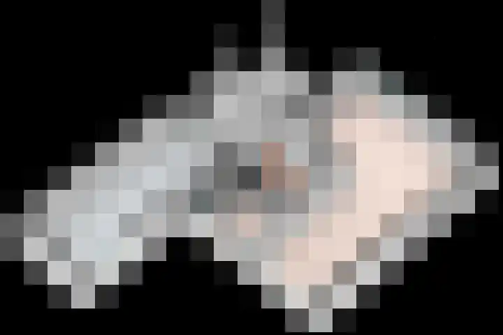 Anna van Burenplein 2 Bathmen thumbnail 29