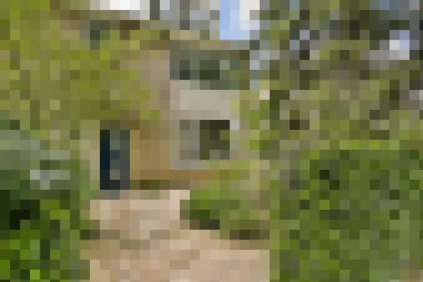 Anna van Burenstraat 11 Vlaardingen thumbnail 4