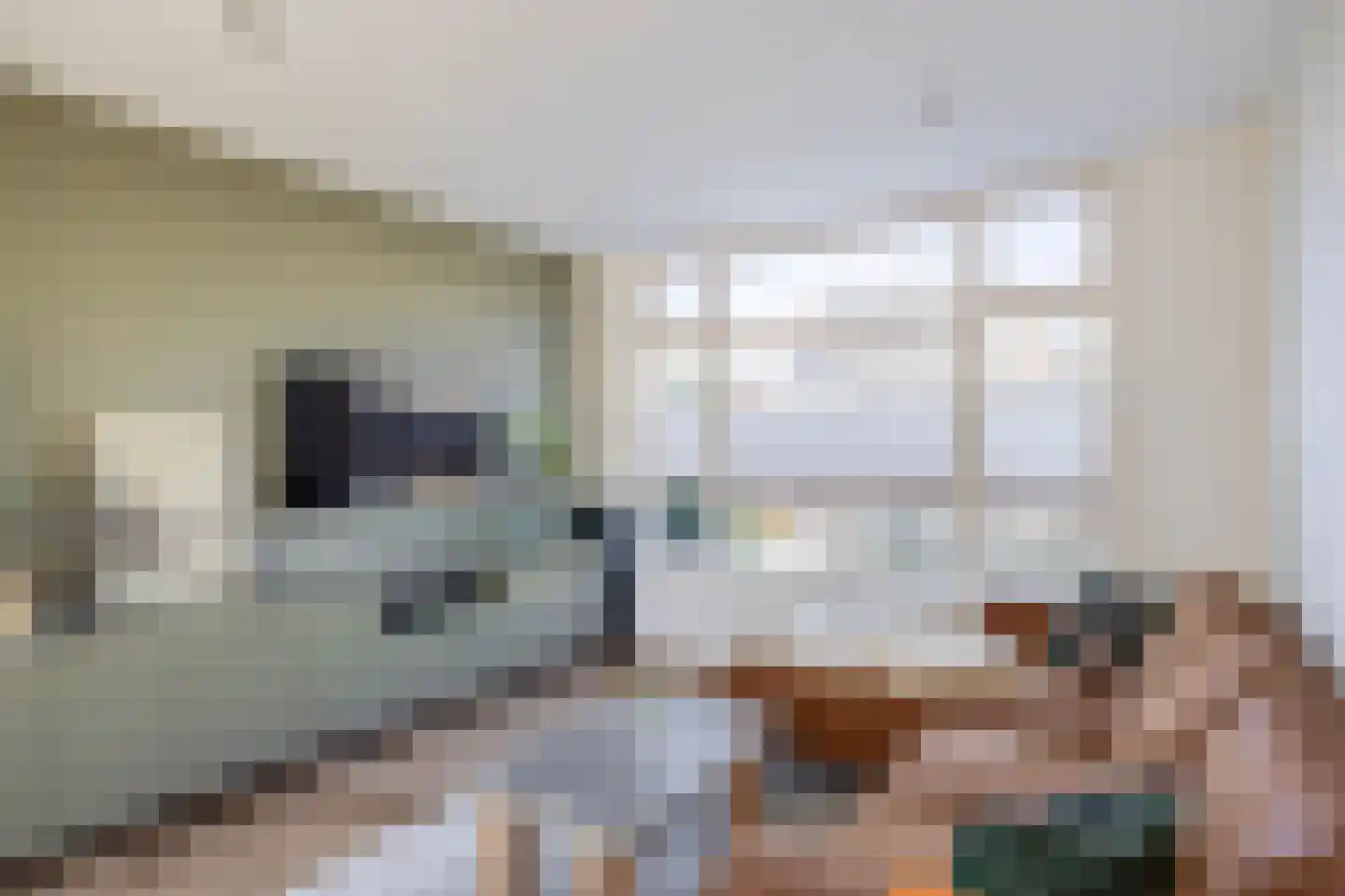 Anna van Burenstraat 13 Lopik thumbnail 13