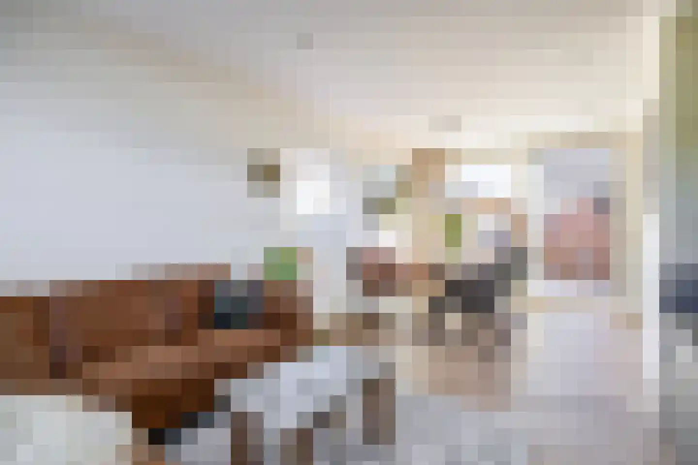 Anna van Burenstraat 13 Lopik thumbnail 14