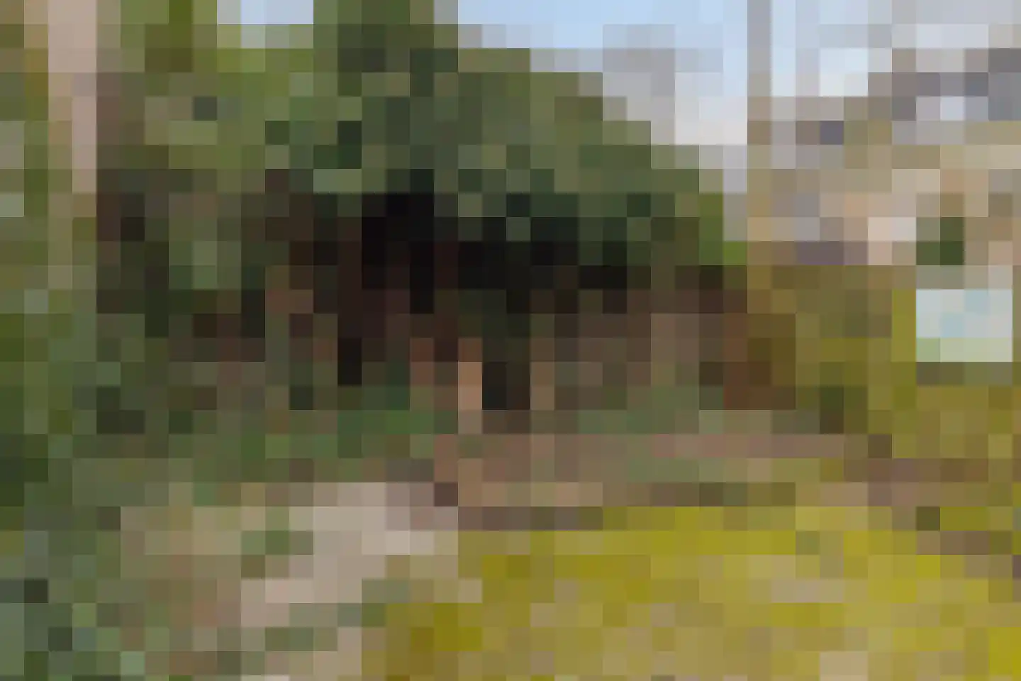 Anna van Burenstraat 14 Vlaardingen thumbnail 11